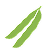 Green Bean